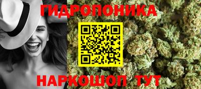 прущий лед Будённовск